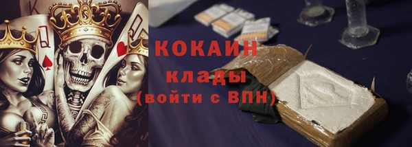 индика Краснослободск