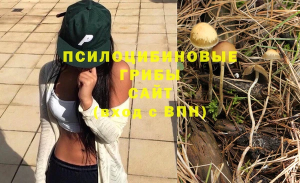 скорость Балахна