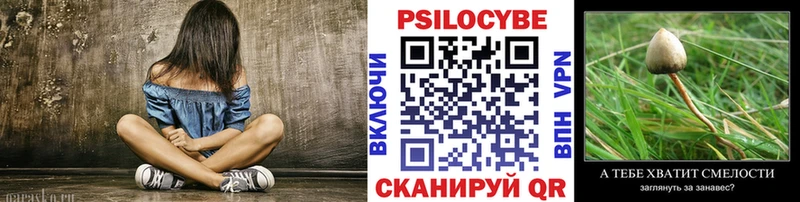 где можно купить наркотик  Белёв  гидра зеркало  Галлюциногенные грибы мицелий 